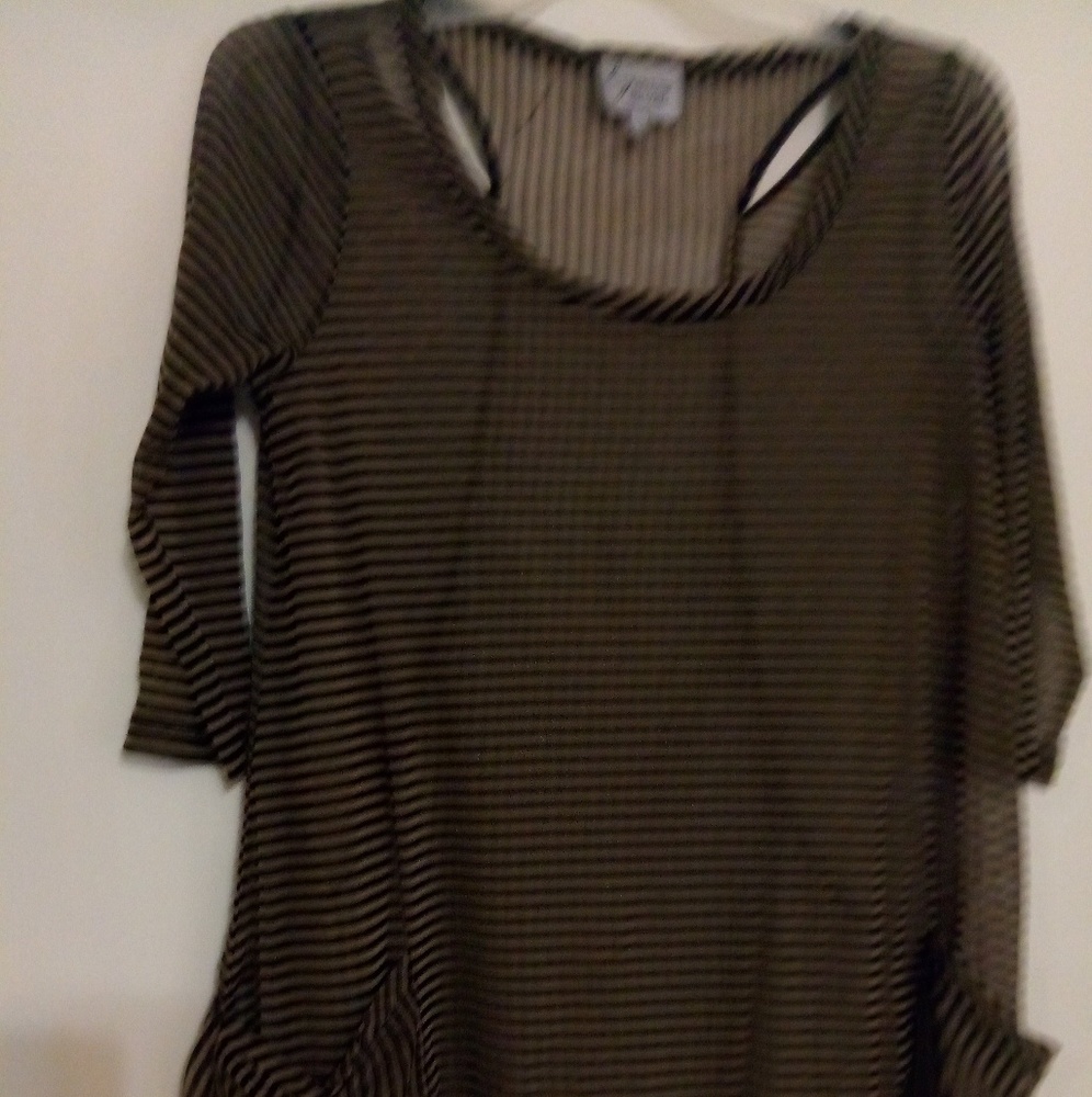 lynn Ritchie Silver Blouse.